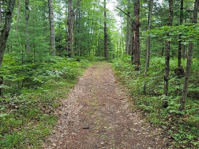 Land for sale in Michigan