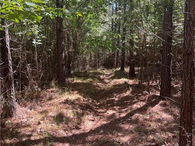 Land for sale in Stokes, North Carolina