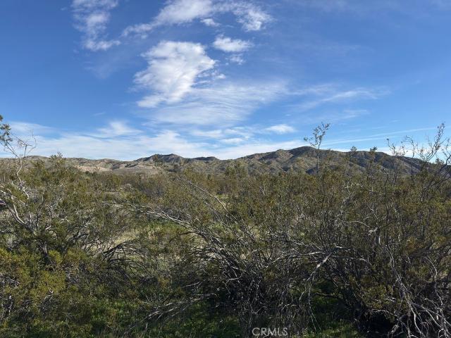 Land for sale in Morongo Valley, California