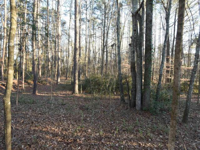 Land for sale in Laurens, South Carolina