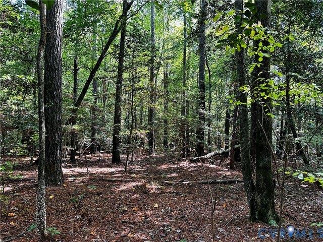 Land for sale in Virginia