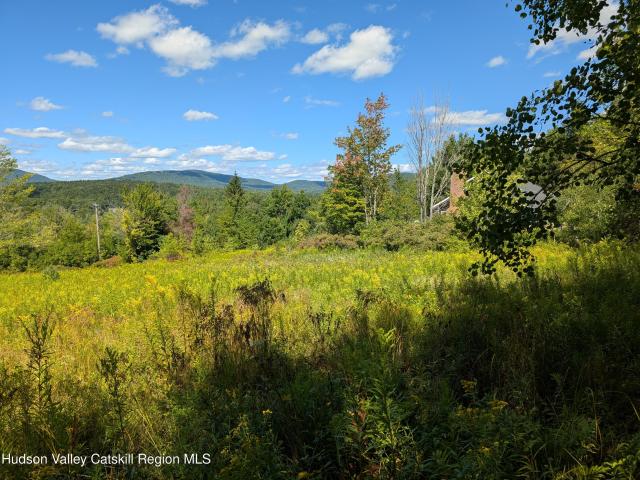 Land for sale in Ashland, New York