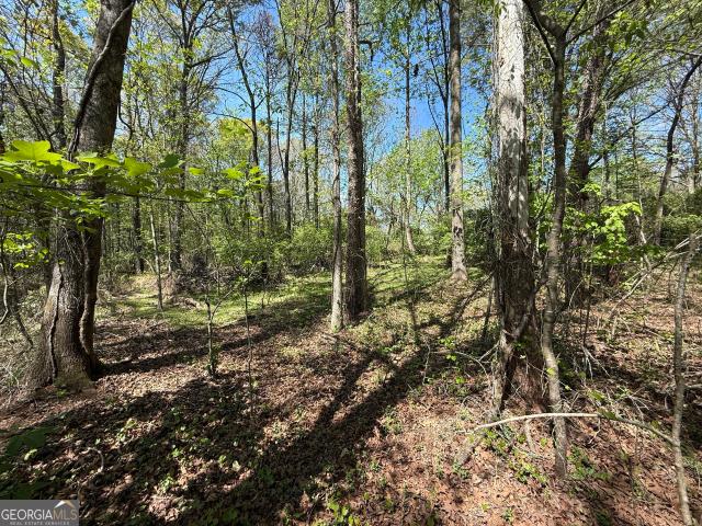 Land for sale in Maysville, Georgia