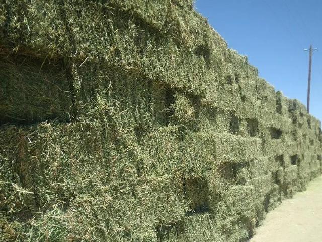 Commercial for sale in Paicines, San Benito County