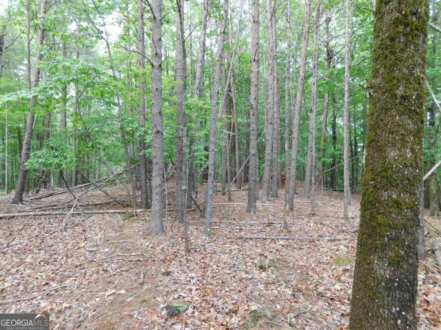 Land for sale in Georgia