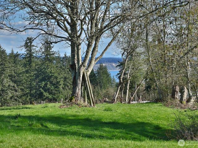Land for sale in Freeland, Washington