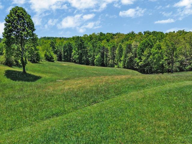 Land for sale in Tennessee