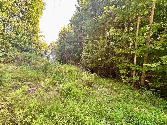 Land for sale in Alabama