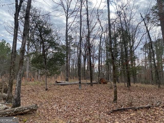 Land for sale in Lincolnton, Lincoln County