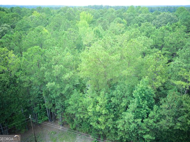 Land for sale in Valley, Alabama