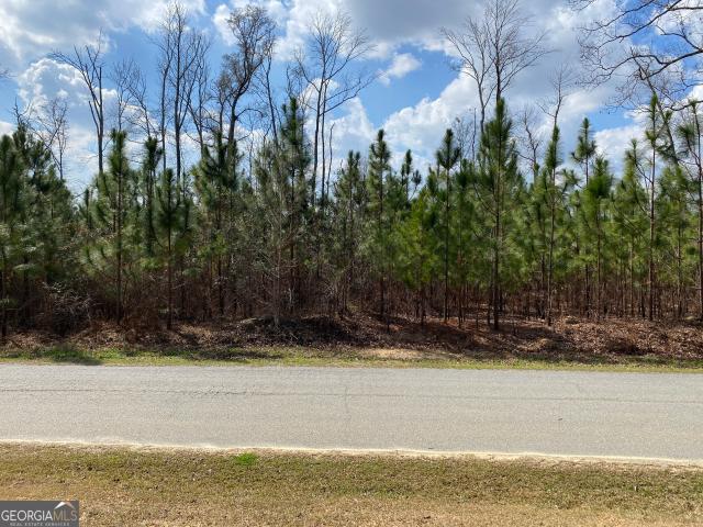 Land for sale in Talbot, Georgia
