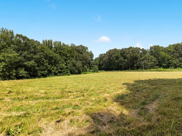 Farm for sale in Ephesus, Hollow Rock