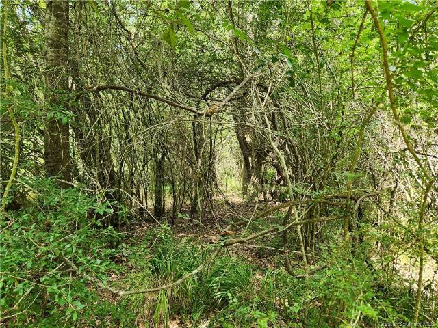 Land for sale in Deridder, Louisiana
