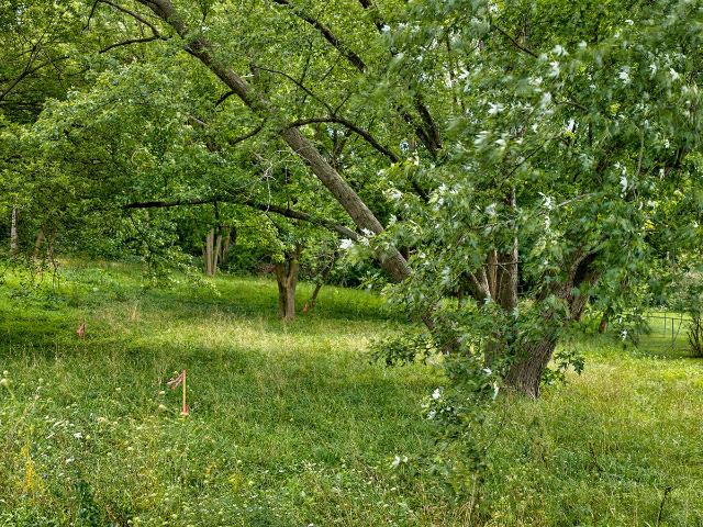 Land for sale in Wauconda, Illinois
