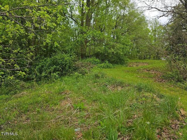 Land for sale in Virginia