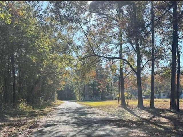 Land for sale in Branchville, South Carolina
