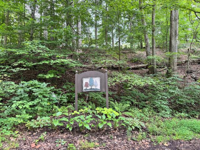 Land for sale in Spencer, Indiana