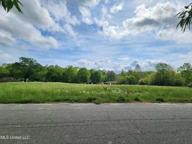 Land for sale in Wiggins, Mississippi