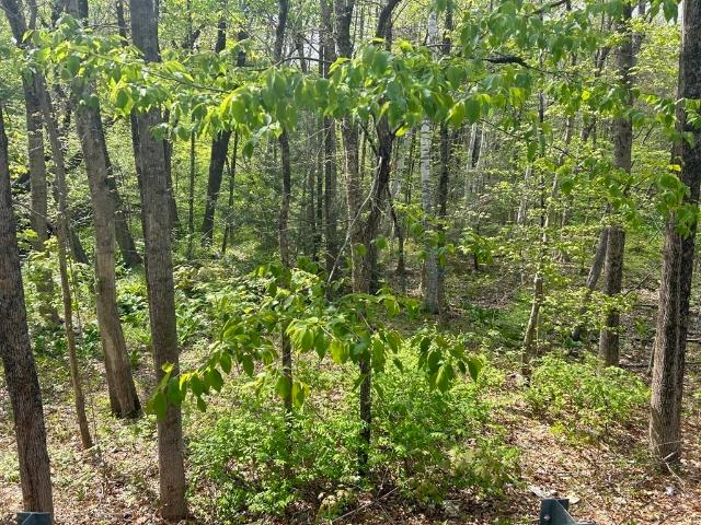 Land for sale in South Lancaster, Massachusetts