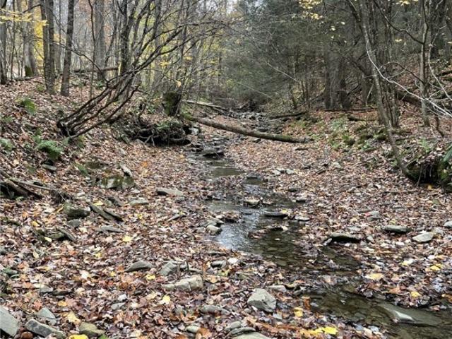 Land for sale in Campbell, New York