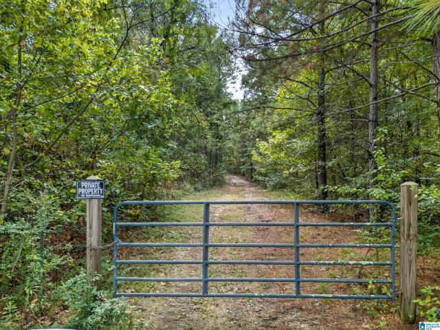 Land for sale in Anniston, Alabama
