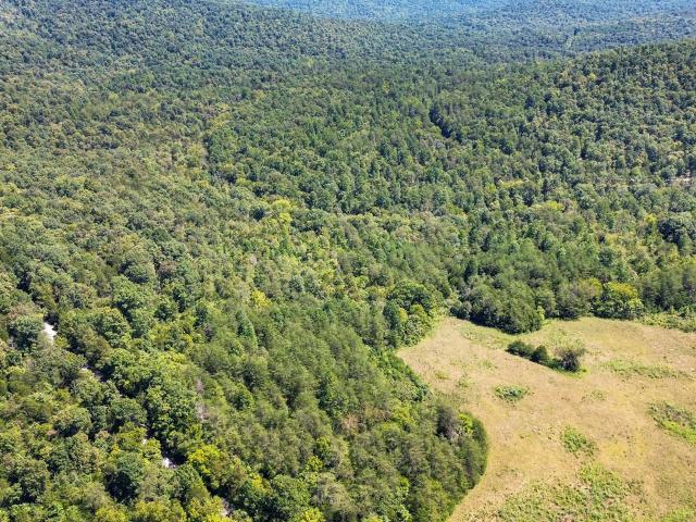Land for sale in Monticello, Kentucky