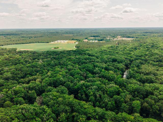 Land for sale in Cope, Orangeburg County