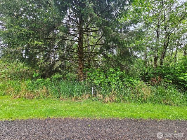 Land for sale in Copalis Beach, Washington