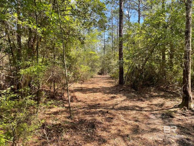 Land for sale in Robertsdale, Baldwin County