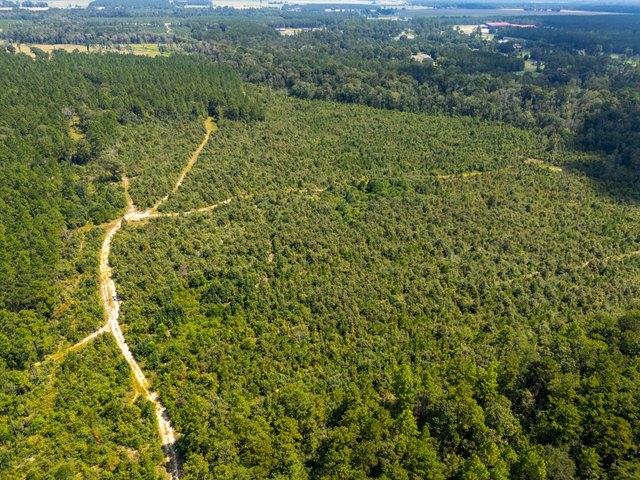 Land for sale in Deridder, Louisiana