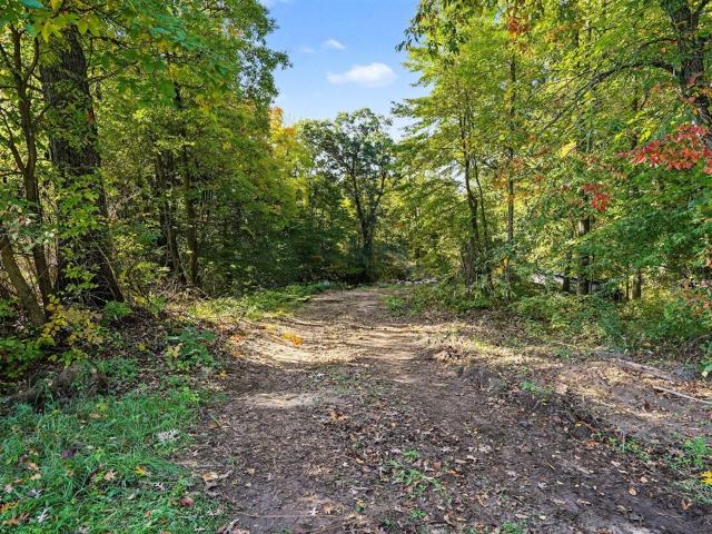 Land for sale in Napoleon, Jackson County