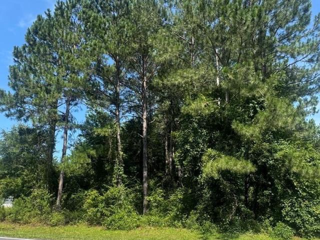 Land for sale in Rentz, Georgia