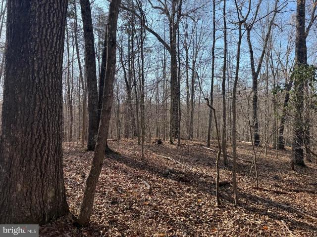 Land for sale in Virginia