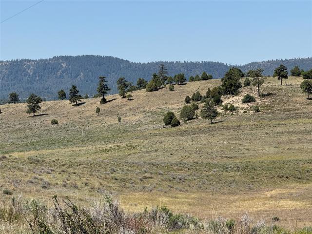 Land for sale in Chama, New Mexico