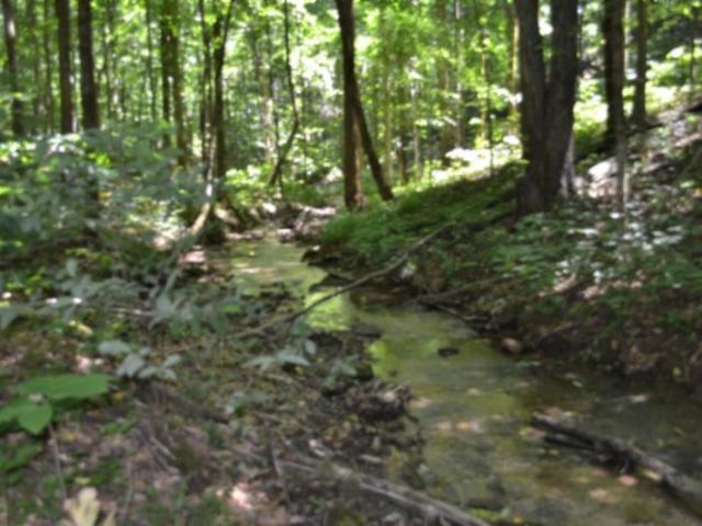 Farm for sale in Tennessee
