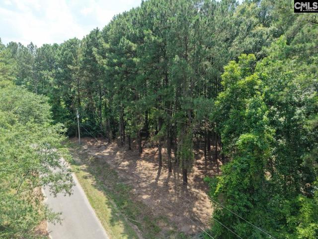Land for sale in Bowman, Orangeburg County
