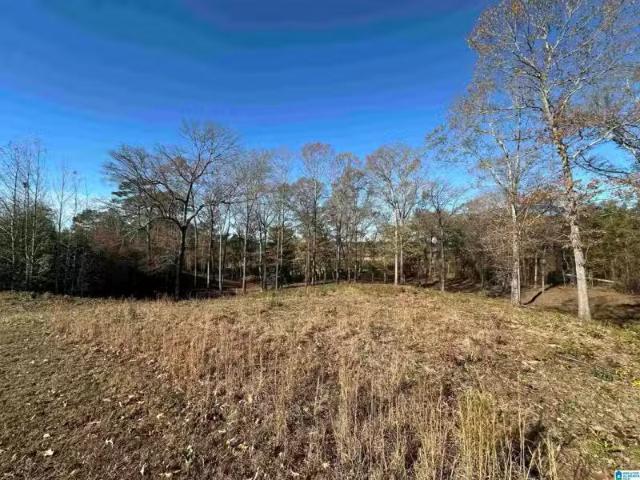 House for rent in Clanton, Alabama