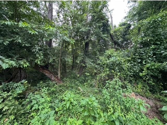 Land for sale in Elizabeth, Pennsylvania