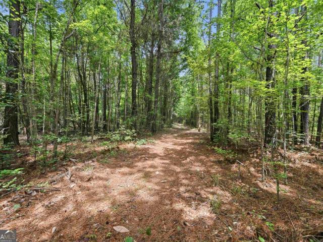 Land for sale in Greensboro, Georgia