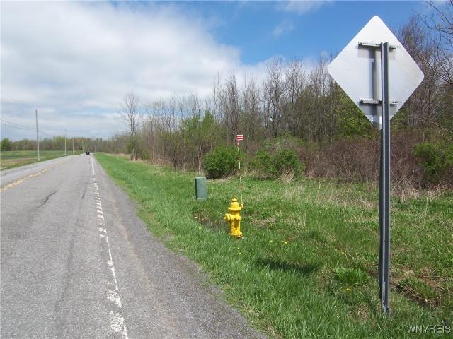 Land for sale in Batavia, New York