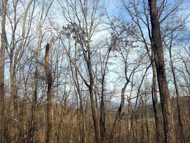 Land for sale in Rutherford, North Carolina
