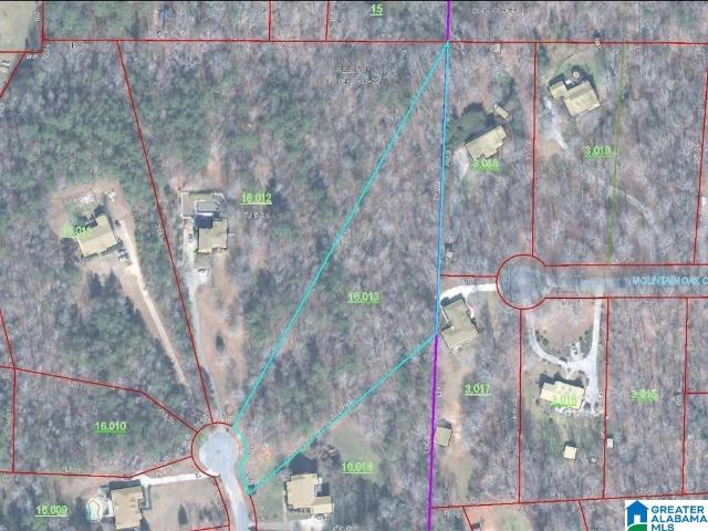 Land for sale in Alpine, Alabama
