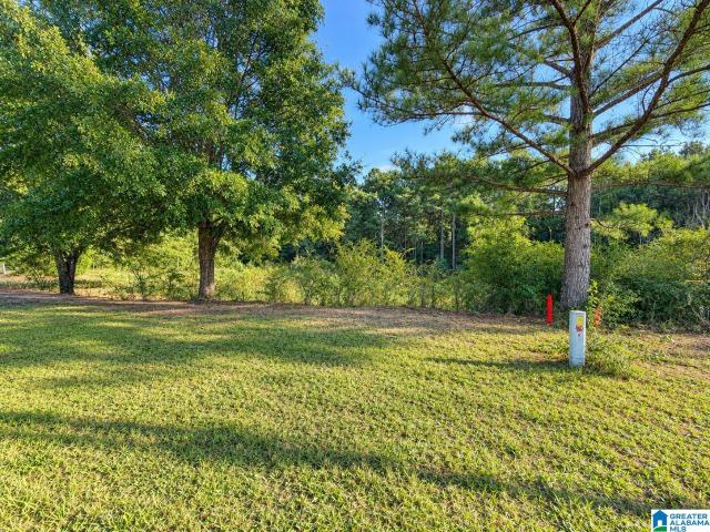 Land for sale in Jemison, Chilton County