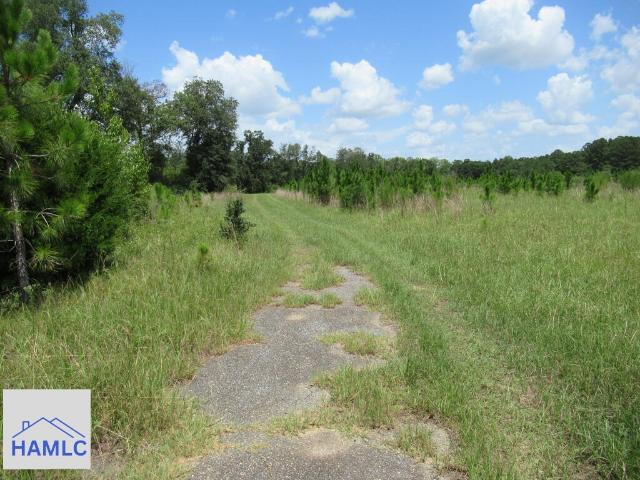 Land for sale in Glennville, Georgia