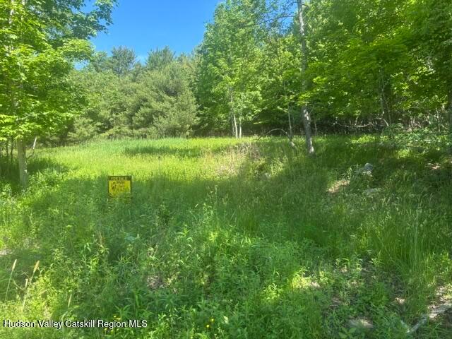 Land for sale in Town of Windham, Greene County