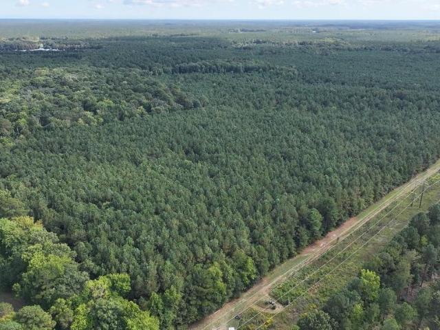 Land for sale in Princess Anne, Maryland