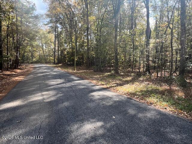 Land for sale in Pelahatchie, Mississippi