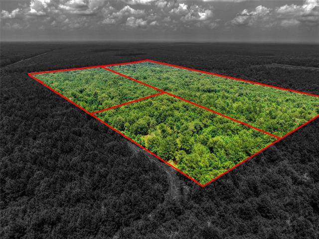 Land for sale in Shepherd, San Jacinto County