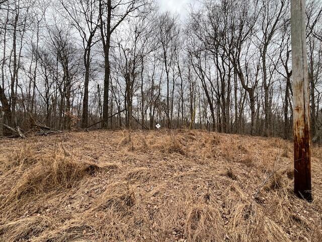 Land for sale in Cadiz, Kentucky