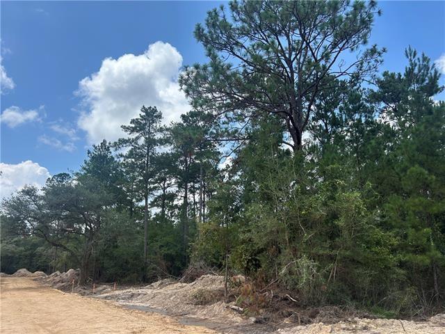 Land for sale in Covington, Louisiana